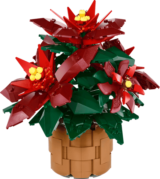 10370 Poinsettia