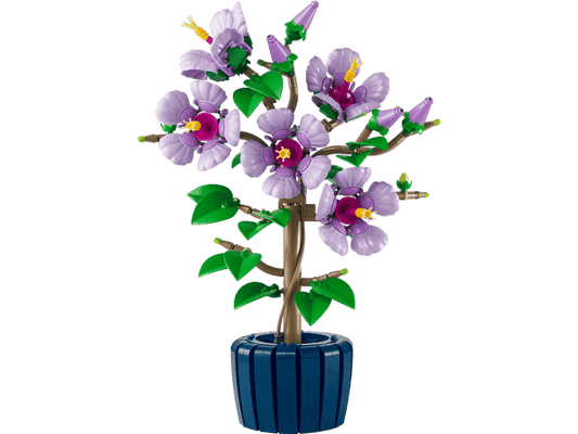 10372 Hibiscus