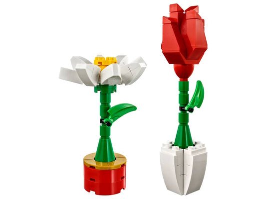 40187 Flower Display